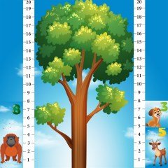 Math Forest En Eğlenceli Matematik Oyunu