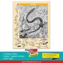 Hidden Pictures Gizli Resimler 4'lü Set