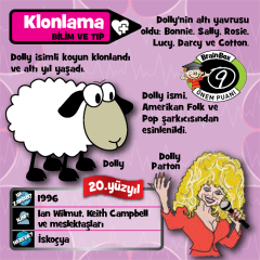 BrainBox İcatlar TÜRKÇE