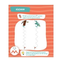 2-4 Yaş Eğitici Çizgiler (Yaz-Sil)