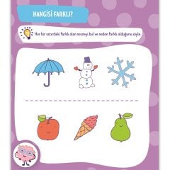 2-4 Yaş Yaz-Sil Etkinlik Kitabı Seti (Eğlenceli Labirentler, Mantıksal Düşünme Becerileri ve Dikkat, Eğitici Çizgiler)