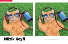 Photo Puzzlemania Eğlenceli Etkinlikler | Dikkat Atölyesi Yayınları