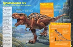 Dinozor Sevenler İçin Hidden Pictures