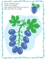 Renkler - Çıkartmalarla Eğlenceli Öğretici Etkinlikler Serisi