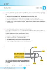 8. Sınıf LGS Türkçe Yeni Nesil Soru Bankası