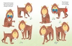 Fingerprint Activities Zoo - Parmak İzi Aktiviteleri Hayvanat Bahçesi
