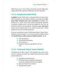 Çocuklarda Beyin Gelişimi: Beynin İlk Yıllarının Gizli Gücü